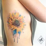 Girassol #JasonAdelinia #gringo #watercolor #aquarela #flor #flower #botanical #botanica #folha #leaf #girassol #sunflower