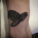 Turtle Tattoo by Will Pacheco #turtle #turtletattoo #blackwork #blackworktattoo #blackworktattoos #blackink #blackinktattoo #blackworkartist #WillPacheco