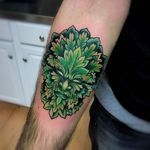 A green man, and no we don't mean the one from It's Always Sunny, by Jeremy Sloo Hamilton (IG—slootattoos). #greenman #JeremySlooHamilton #neotraditional #vibrant