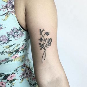Wildflower Tattoo by Kate Holley #wildflower #wildflowertattoo #handpoked #handpokedtattoo #handpoke #handpoketattoo #handpoketattoos #handpokeartist #KateHolley