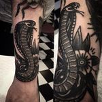 Cobra Tattoo by William Roos #cobra #snake #blackworkcobra #blackwork #blackink #traditional #traditionalblackwork #classicblackwork #WilliamRoos