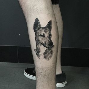 Lovely dog portrait tattoo by Pari Corbitt #PariCorbitt #dog #monochrome
