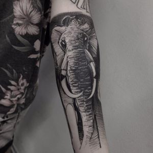 Elefante por Alexandre Aske! #AlexandreAske #Ttatuadoresbrasileiros #tatuadoresdobrasil #tattoobr #tattoodobr #sketchtattoos #sketch #elephant #elefante