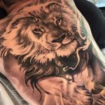 King of the Jungle by Teneile Napoli #TeneileNapoli #backpiece #blackandgrey #realism #realistic #hyperrealism #lion #junglecat #cat #kitty #nature #animal #tattoooftheday