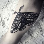 Moth Tattoo by Michele L'Abbate #moth #blackworkmoth #blackwork #blakcworkartist #blackink #darkart #black #MicheleL'Abbate #MicheleLAbbate
