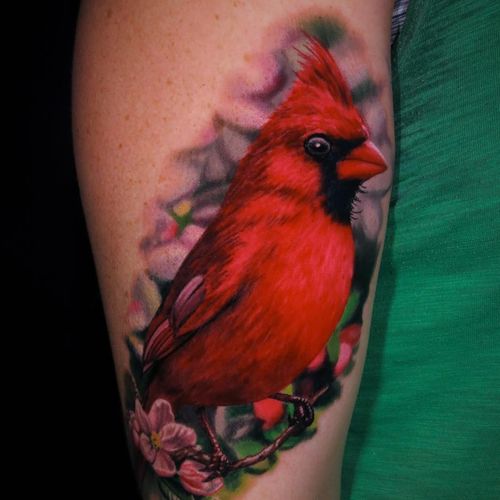 A brilliantly colored cardinal by Jamie Schene. (Via IG - jamie_schene) #JamieSchene #colorrealism #cardinal