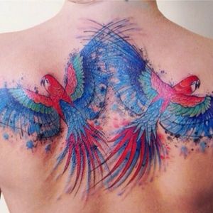 Colorful watercolor parrots by Liisa Addi #watercolor #parrot #parrots #backpiece #bird #birds #LiisaAddi #colorful