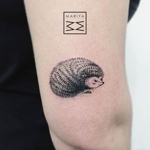 Hedgehog Tattoo #hedgehog #dotwork #colordotwork #subtletattoos #minimal #delicatetattoos #MariyaSummer