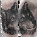 Black and grey wolf tattoo by Joe Metrix. #blackandgrey #realism #wolf #JoeMetrix