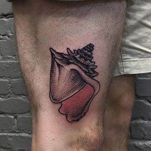 Conch Tattoo by Esther Mulders #ConchTattoo #Shells #ShellTattoos #SeashellTattoo #Seashell #EstherMulders