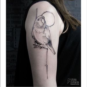 Parakeet tattoo by Serena Caponera #SerenaCaponera #illustrative #blackwork #sketch #graphic #parakeet #bird