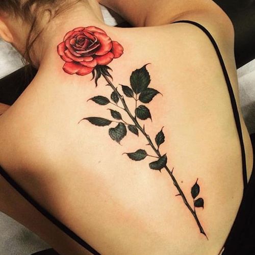 Gorgeous rose tattoo down the spine, by Devin Mena. (via IG—devinmenatattoos) #Rose #Spine #Classic #DevinMena