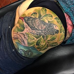 Painterly color realism bird tattoo by Whitney Havok. #realism #colorrealism #bird #painterly #WhitneyHavok