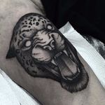 Leopard tattoo by Planoc #Planoc #monochrome #monochromatic #blackandgrey #dotwork #blackwork #leopard
