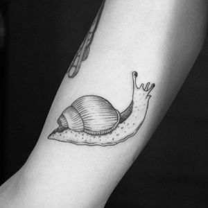 Snail by Meia. (Via IG - meia.work)