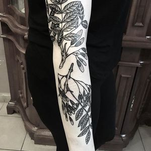 Blackwork ash tree tattoo by Klaudia Holda. #dotwork #blackwork #KlaudiaHolda #botanical #ashtree #tree