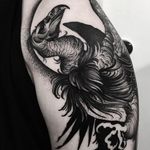 Vulture Tattoo by Kelly Violet #vulture #blackworkvulture #blackworkbird #blackwork #blackink #darkart #KellyViolet