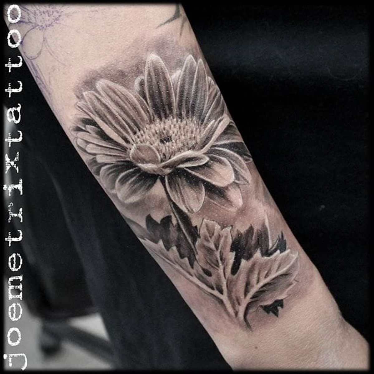 Tattoo uploaded by Stacie Mayer • Black and grey gerbera tattoo by Joe ...