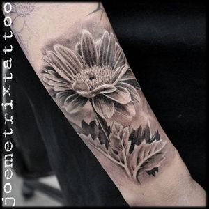 Black and grey gerbera tattoo by Joe Metrix. #blackandgrey #realism #flower #gerbera #JoeMetrix