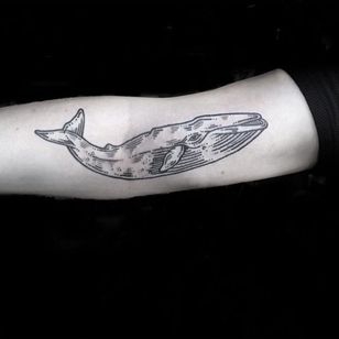 Una ballena jorobada scrimshaw blackwork por Sue Jeiven IG - sweetsuetattoo).  #blackwork #ballena jorobada #ilustrativo #marítimo #náutico #scrimshaw #sealife #SueJeiven