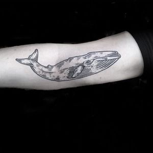 A scrimshaw blackwork humpback whale by Sue Jeiven IG—sweetsuetattoo). #blackwork #humpbackwhale #illustrative #maritime #nautical #scrimshaw #seacreature #SueJeiven
