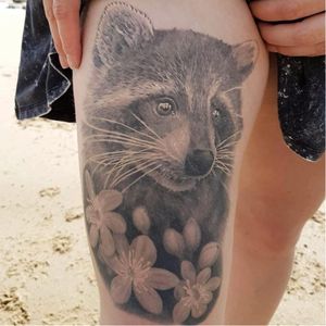 Healed raccoon tattoo by Inky Joe #InkyJoe #blackandgrey #realistic #animal #healed #raccoon #realisticraccoon #realism