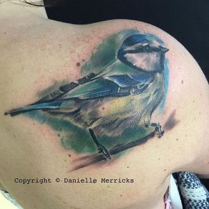 Painterly realism blue tit bird by Danielle Merricks. #painterly #realism #colorrealism #bluetit #bird #bluetitbird #DanielleMerricks