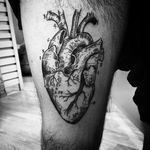 Illustrative tattoo done by unknown artist #illustrative #anatomical #linework #heart #anatomicalheart #blackwork