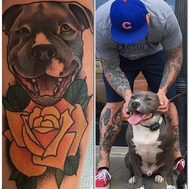 American traditional pit bull  Pyramid Tattoo Company  Facebook