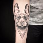 Por Torra Tattoo #TorraTattoo #brasil #brazil #brazilianartist #tatuadoresdobrasil #blackwork #cao #dog #cachorro #petlover #pet #doglover #pontilhismo #dotwork #geometric #geometrica #fineline