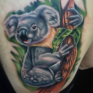 Soft and cuddly looking color realism koala tattoo by Marc Durrant. #koala #realism #colorrealism #marsupial #MarcDurrant