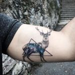 Deer galaxy tattoo by Resul Odabaș. #ResulOdabas #dotwork #cosmic #cosmos #deer #triangle #animal