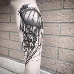 Jelly fish tattoo by Matteo Gallo #MatteoGallo #trashstyle #graphic #blackwork #sketch #abstract #jellyfish