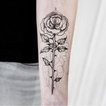 Rose tattoo by Uls Metzger #UlsMetzger #monochrome #dotwork #blackwork #rose