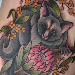 Brushtail possum tattoo by Clare Clarity. #neotraditional #possum #wattle #botanical #flowers #brushtailpossum #ClareClarity