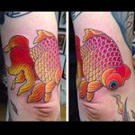 Clean and vibrant goldfish tattoo by Horimatsu. #Horimatsu #JapaneseStyle #JapaneseTattoo #horimono #goldfish