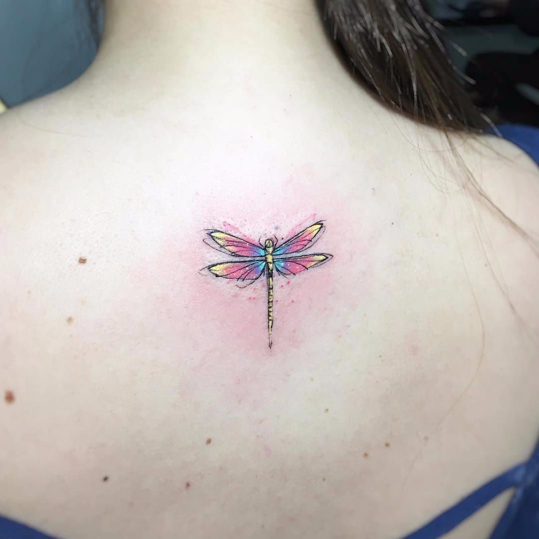 The Different Meanings Of Dragonfly Tattoos  BioBubblePets