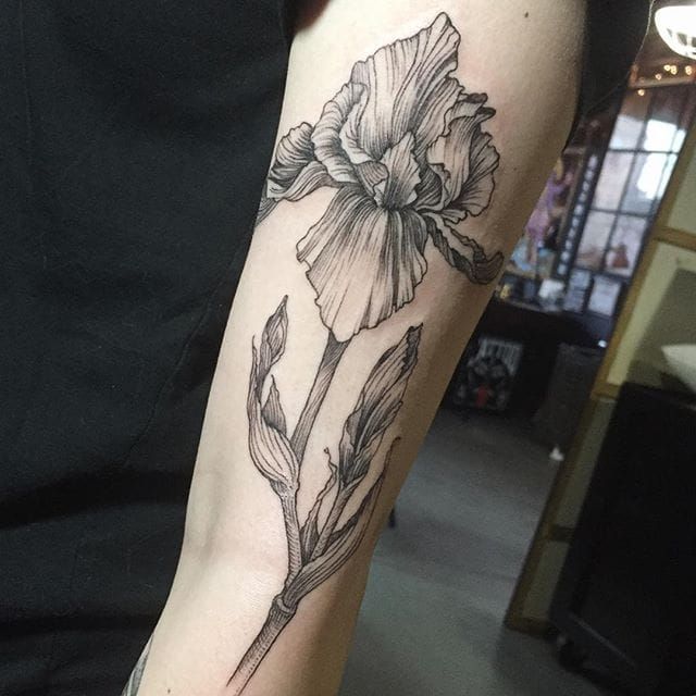 Tattoo uploaded by Stacie Mayer  Linework iris tattoo by Maggie Cho  linework blackwork flower iris MaggieCho floral  Tattoodo