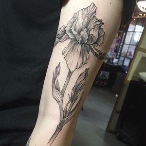 Fine line iris tattoo by Maggie Cho Brophy. #blackwork #linework #MaggieChoBrophy #botanical #iris #flower #fineline