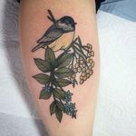Coal tit bird and berries by Lydia Hazelton. #neotraditional #bird #coaltit #coaltitbird #berries #LydiaHazelton