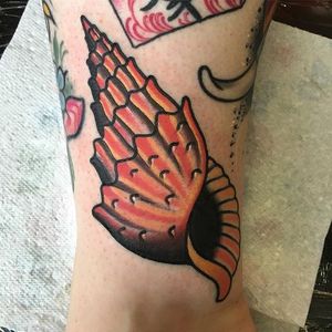 A lovely sun-colored conch shell from Adam Cornish's body of work (IG-adamcornishtattooer_otc). #AdamCornish #bold #bright #conch #traditional