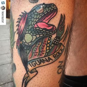 Iguana Tattoo by Alex Citrone #iguana #iguanatattoo #lizardtattoo #lizardtattoos #reptiletattoo #reptiletattoos #reptile #lizard #traditionallizard #traditionaliguana #AlexCitrone