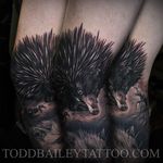 Bold black and grey realism echidna tattoo by Todd Bailey. #echidna #Australiananimal #Australiafauna #realism #blackandgrey #blacandgreyrealism #ToddBailey