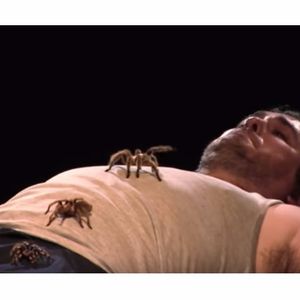 Q's worst nightmare. #ImpracticalJokers #BrianQuinn #spider #tarantula