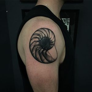 Xray nautilus tattoo by Pari Corbitt #PariCorbitt #nautilus #xray #fibonacci #black #monochrome