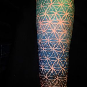 Beautiful dotwork tattoo by Caco Menegaz #Dotwork #ColorDotwork #DotworkTattoos #ColorDotworkTattoos #geometric #Blue #flowers #CacoMenegaz