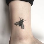 Fly Tattoo by Kate Holley #fly #flytattoo #handpoked #handpokedtattoo #handpoke #handpoketattoo #handpoketattoos #handpokeartist #KateHolley