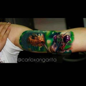 Bright and Wild Hyper realistic Tattoo by Carlox Angarita @CarloxAngarita #CarloxAngarita #Hyperrealistic #Realistic #Eye #Eyetattoo #snake #bug