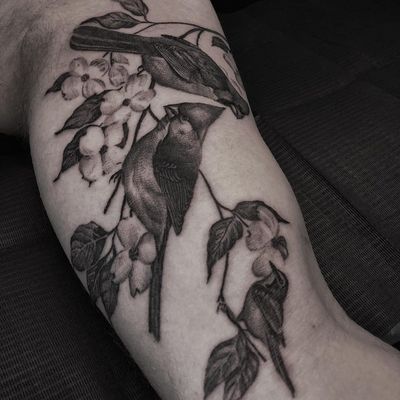 Cardinals and Warbler tattoo by David Allen #DavidAllen #birdtattoos #blackandgrey #bird #feathers #wings #Cardinal #Warbler #cherryblossoms #leaves #nature #branch #plant