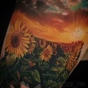 A lovely sunrise over a field of sunflowers by Jesse Rix (IG—jesse_rix). #color #JesseRix #landscape #realism #sunflowers